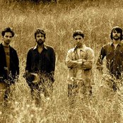 Low Stars - List pictures