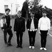 Fránçois & The Atlas Mountains - List pictures