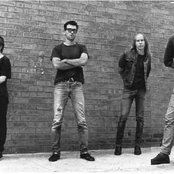 New Christs - List pictures