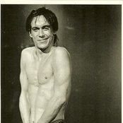 Pop Iggy - List pictures