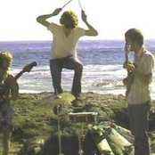 The Traditional Fools - List pictures