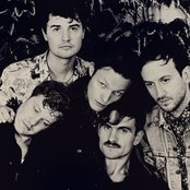 Citizens! - List pictures