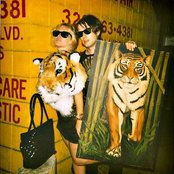 Magic Wands - List pictures