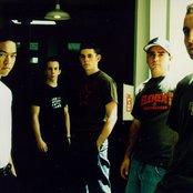 Slick Shoes - List pictures