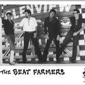 Beat Farmers - List pictures