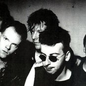 That Petrol Emotion - List pictures