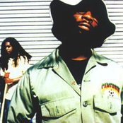 Scarub - List pictures