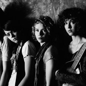 Shel - List pictures