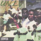 Unlv - List pictures