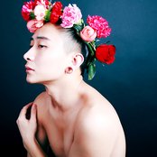 Villy Vonka - List pictures