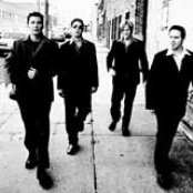 Oleander - List pictures