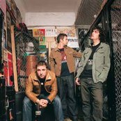 The Feelers - List pictures