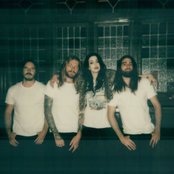 Dorothy - List pictures