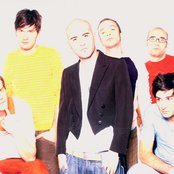 Negramaro - List pictures