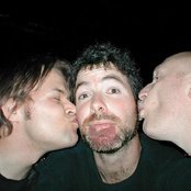 Silkworm - List pictures