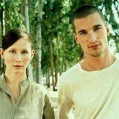 Lamb - List pictures