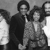 Dynasty - List pictures