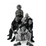 Fishbone - List pictures