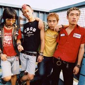 Brain Failure - List pictures