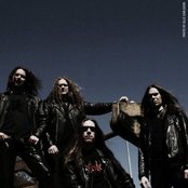 Unleashed - List pictures