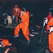 Los Elefantes - List pictures