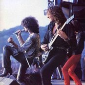 Krokus - List pictures