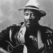 Taj Mahal - List pictures