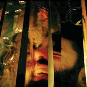 Odonis Odonis - List pictures