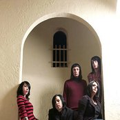 Scarling - List pictures