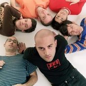 Negramaro - List pictures