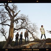 Veda - List pictures