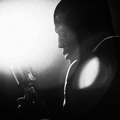 Seal - List pictures