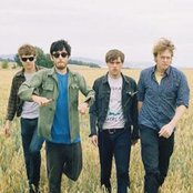 Woods - List pictures