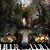 Kaospilot - List pictures