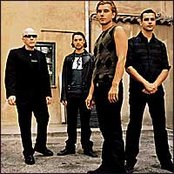 Bush - List pictures