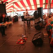 Seabird - List pictures