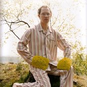 Caribou - List pictures