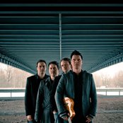 Zornik - List pictures