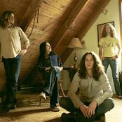 American Minor - List pictures