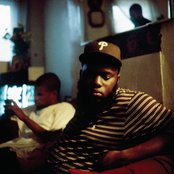 Freeway - List pictures