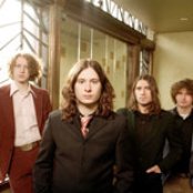 Damnwells - List pictures