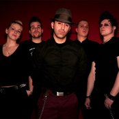 Broilers - List pictures