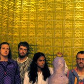 Yeasayer - List pictures