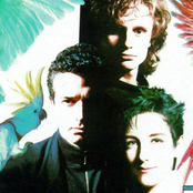 Mecano - List pictures