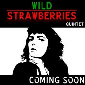 Wild Strawberries - List pictures