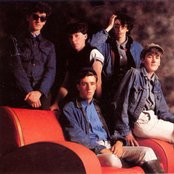 The Bluebells - List pictures