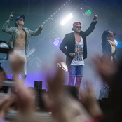 Broiler - List pictures