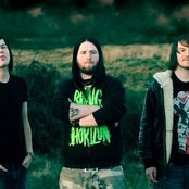 Ravenface - List pictures