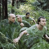 Sunny Day Real Estate - List pictures