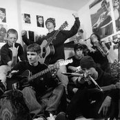 The Coral - List pictures